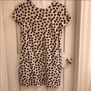 J crew polka dot shift dress